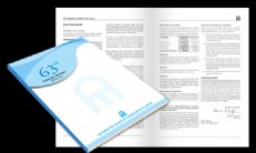 Annual Report 2012