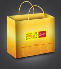 Final Carry Bag Design