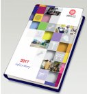 Safety Dairy 2017